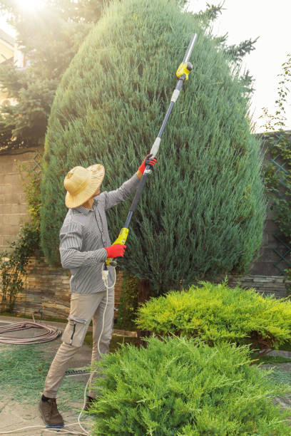 Best Lawn Irrigation Installation and Maintenance  in Lansing, IL